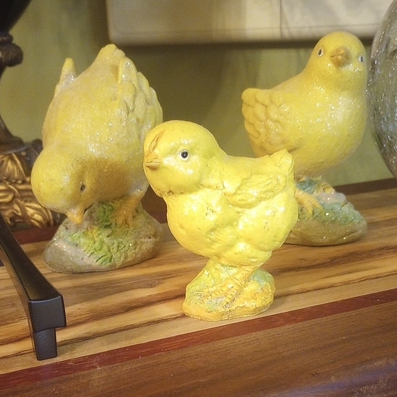 Baby Chicks - Picture 5 of 7